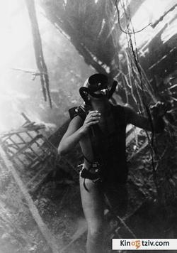 Abenteuer im Roten Meer 1951 photo.