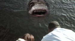 Zombie Shark 2015 photo.