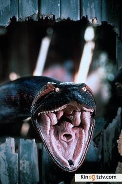 Anaconda 1997 photo.