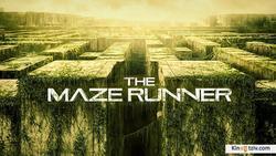 The Maze Runner 2014 photo.