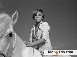 Crin blanc: Le cheval sauvage 1953 photo.