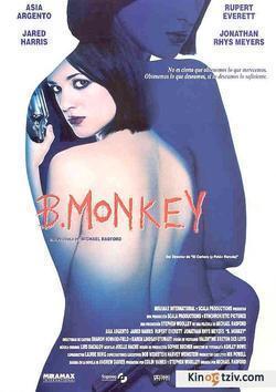 B. Monkey 1998 photo.