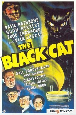 The Black Cat 1961 photo.