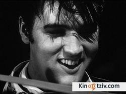 Elvis: #1 Hit Performances 2007 photo.