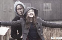If I Stay 2014 photo.