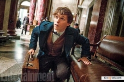 Fantastic Beasts and Where to Find Them 2016 photo.