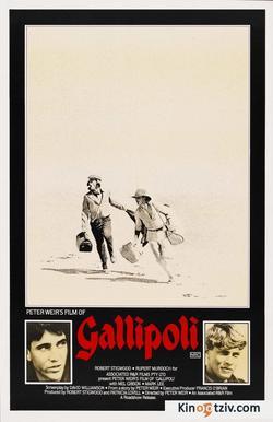 Gallipoli 1981 photo.