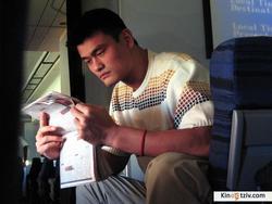 The Year of the Yao 2004 photo.