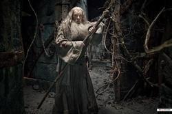 The Hobbit: The Desolation of Smaug 2013 photo.