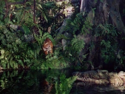 Jungle Book 1942 photo.