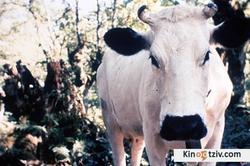 Vacas 1992 photo.