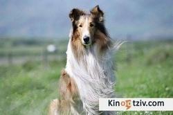 Lassie 1994 photo.