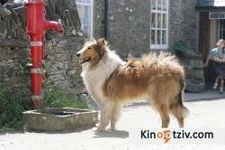 Lassie 2005 photo.