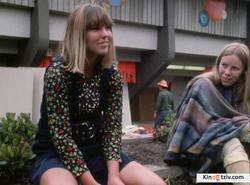 Monterey Pop 1968 photo.