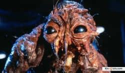 The Fly 1986 photo.