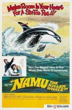 Namu, the Killer Whale 1966 photo.