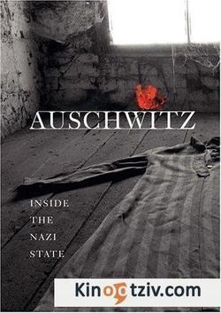 Auschwitz 2010 photo.