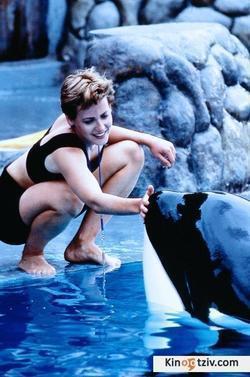 Free Willy 1993 photo.