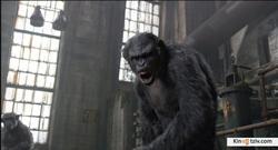 Dawn of the Planet of the Apes 2014 photo.