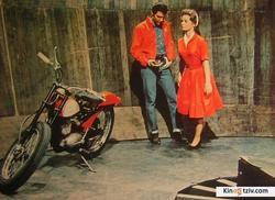 Roustabout 1964 photo.