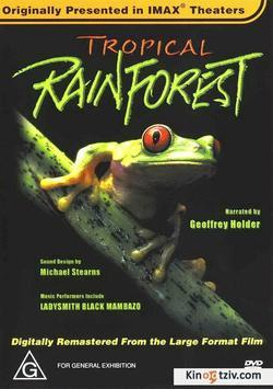 Tropical Rainforest 1992 photo.