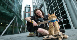 A Street Cat Named Bob 2016 photo.