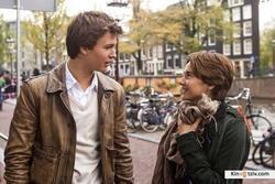 The Fault in Our Stars 2014 photo.