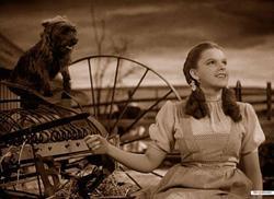 The Wizard of Oz 1939 photo.