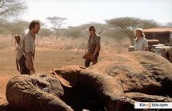 I Dreamed of Africa 2000 photo.