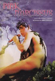 Another movie Pink Narcissus of the director James Bidgood.