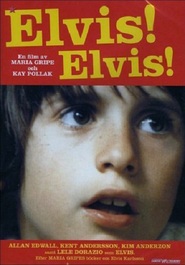 Another movie Elvis! Elvis! of the director Kay Pollak.
