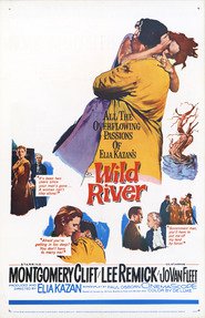 Another movie Wild River of the director Elia Kazan.