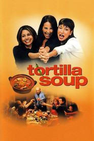 Tortilla Soup movie cast and synopsis.