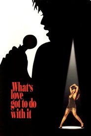 Another movie What's Love Got to Do with It of the director Brian Gibson.