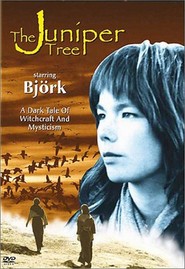 Another movie The Juniper Tree of the director Nietzchka Keene.