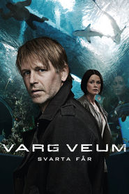 Another movie Varg Veum - Svarte far of the director Stephan Apelgren.