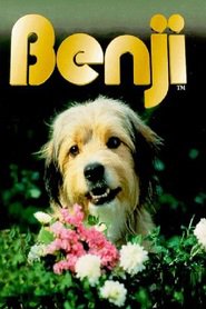 Another movie Benji of the director Joe Camp.