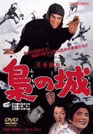 Another movie Ninja hicho fukuro no shiro of the director Eiichi Kudo.