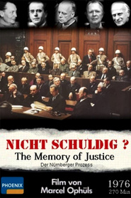 Another movie The Memory of Justice of the director Marcel Ophuls.
