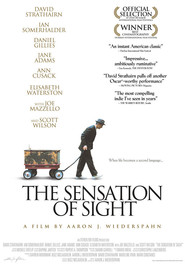 Another movie The Sensation of Sight of the director Aaron J. Wiederspahn.