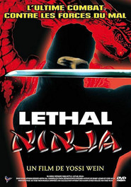 Another movie Lethal Ninja of the director Yossi Wein.