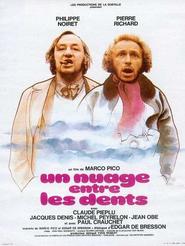 Another movie Un nuage entre les dents of the director Marko Piko.