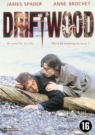 Another movie Driftwood of the director Ronan O\'Leary.