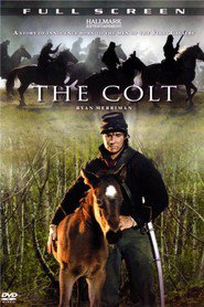 Another movie The Colt of the director Elena Lanskaya.