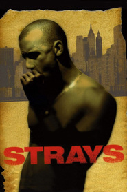 Another movie Strays of the director Vin Diesel.