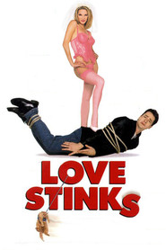 Another movie Love Stinks of the director Jeff Franklin.
