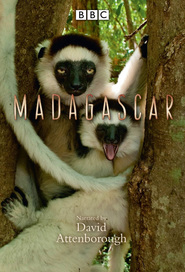 Another movie Madagascar of the director Selli Tomson.