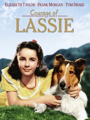 Another movie Courage of Lassie of the director Fred M. Wilcox.