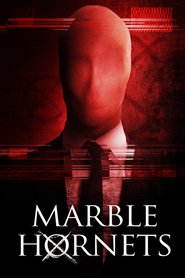 Another movie Always Watching: A Marble Hornets Story of the director James Moran.