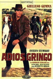 Another movie Adios gringo of the director Giorgio Stegani.